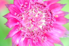 P1810771