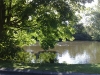 The pond