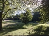 Surroundings