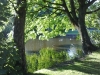 The pond