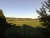The view