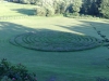 The gardens