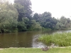 The pond