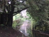 Near the Abbey