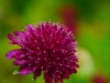 P1290573