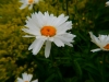 P1290574
