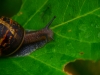 P1290579
