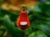 P1290625