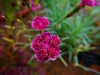 P1290654