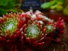 P1290658