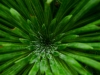 P1290662