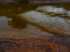 P1290667