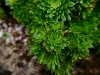 P1290674