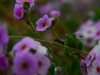 P1290687