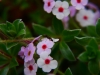 P1290691
