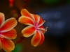 P1290702