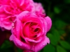 P1290728