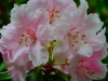P1290790