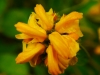 P1290843