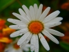 P1290846
