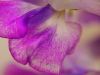 P1290871