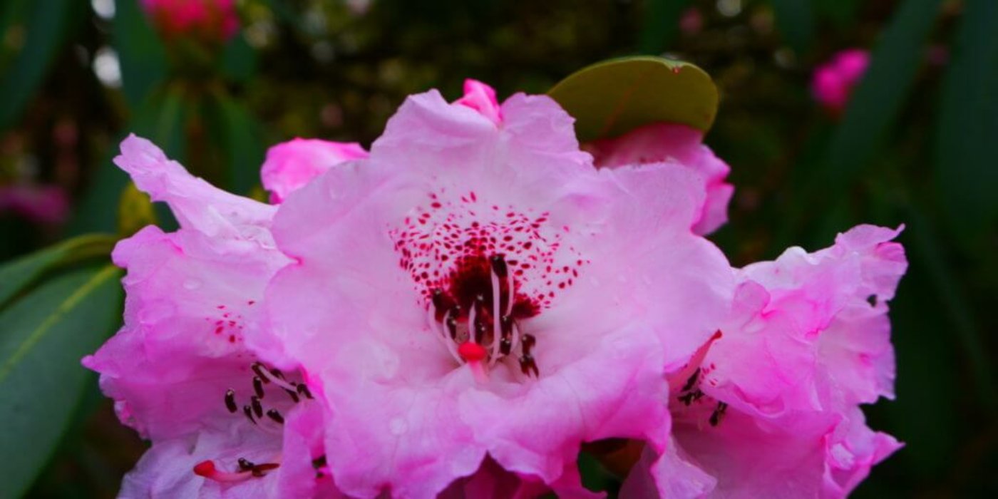 P1770615